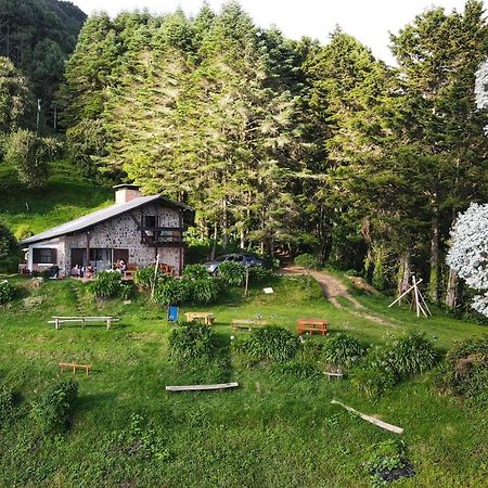 El Pital Ecolodge San Ignacio 外观 照片