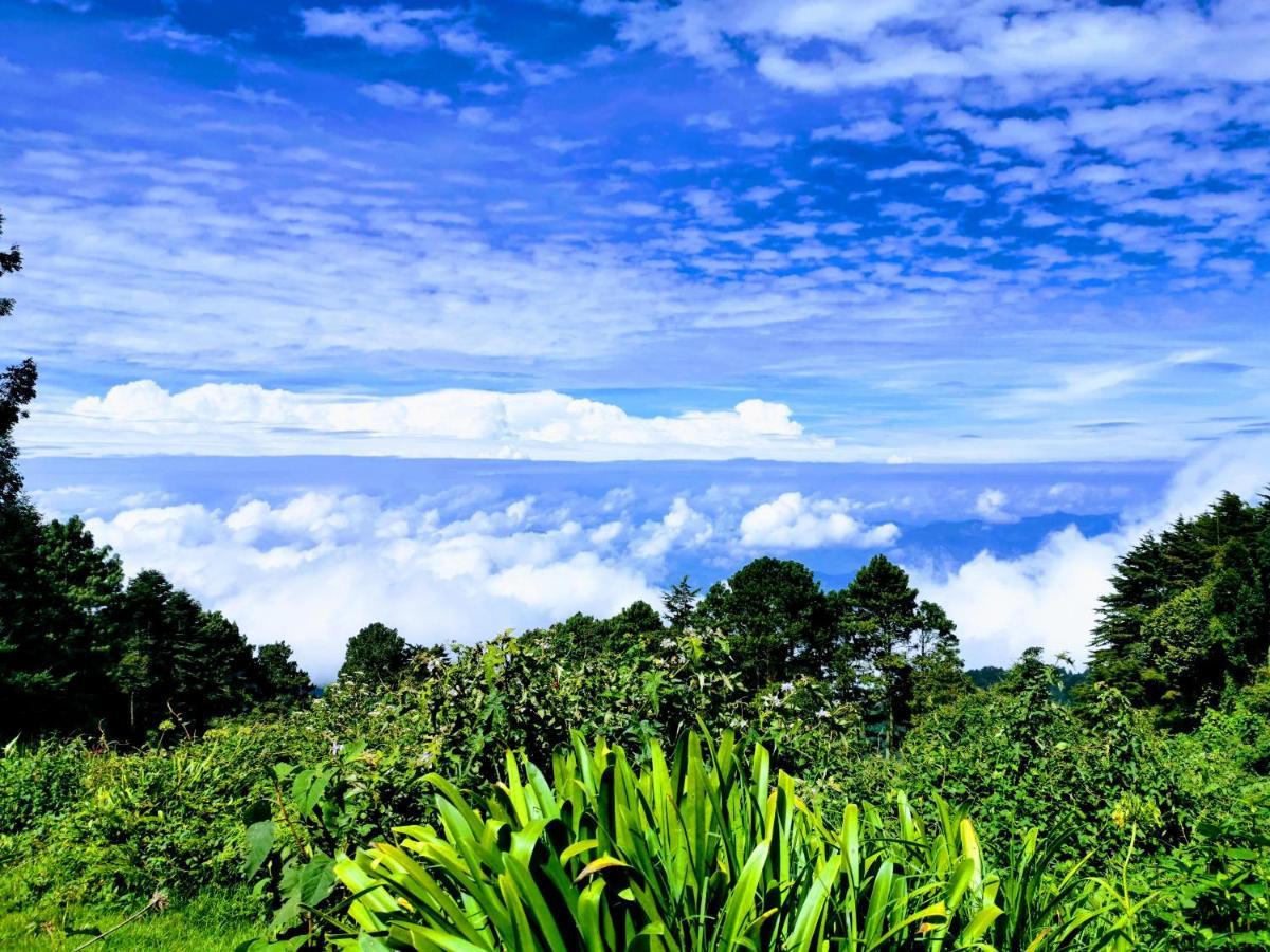 El Pital Ecolodge San Ignacio 外观 照片