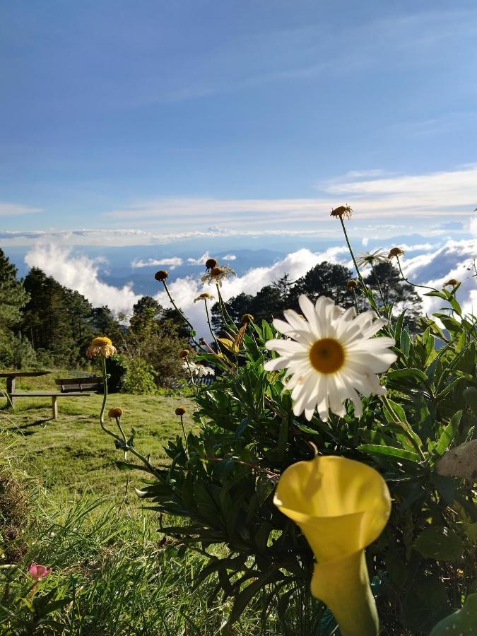 El Pital Ecolodge San Ignacio 外观 照片
