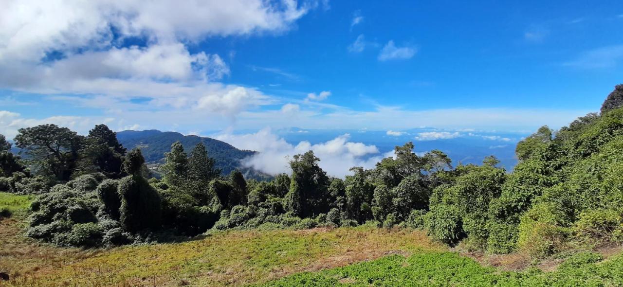 El Pital Ecolodge San Ignacio 外观 照片