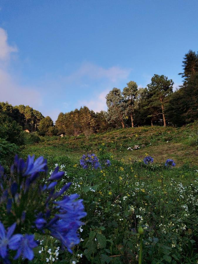 El Pital Ecolodge San Ignacio 外观 照片