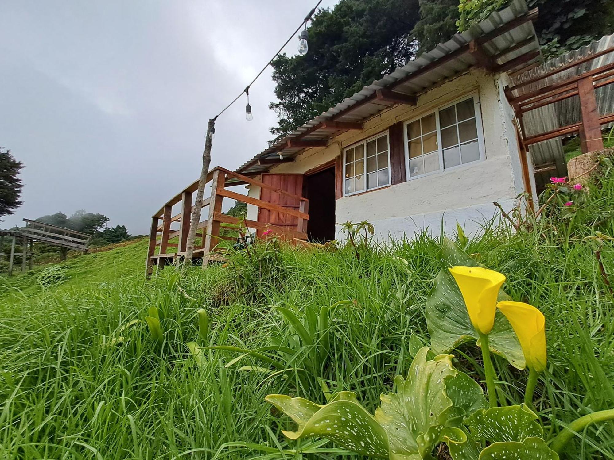 El Pital Ecolodge San Ignacio 外观 照片